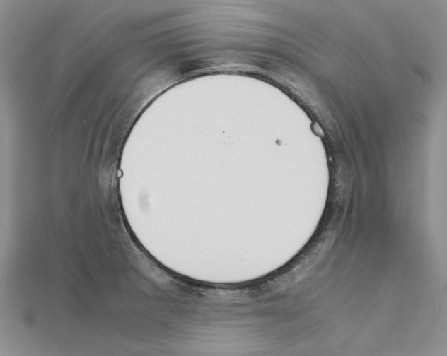 X0000111231281200908131115
