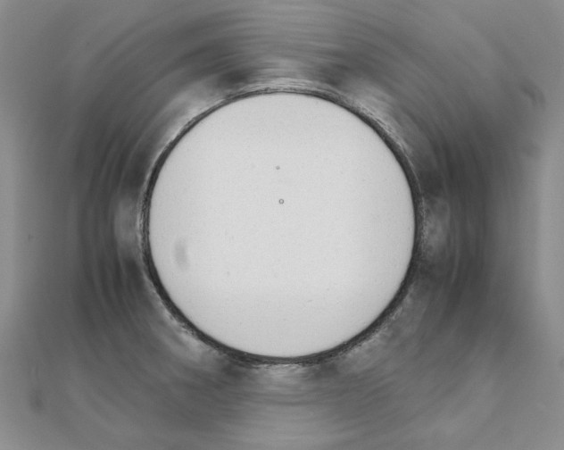 X0000111231282200908131115