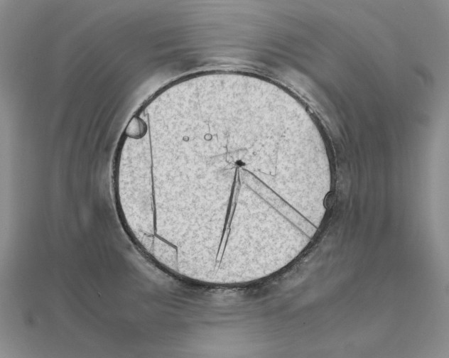 X0000111231283200908131115