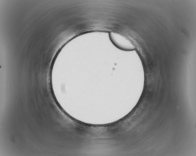 X0000111231285200908131115