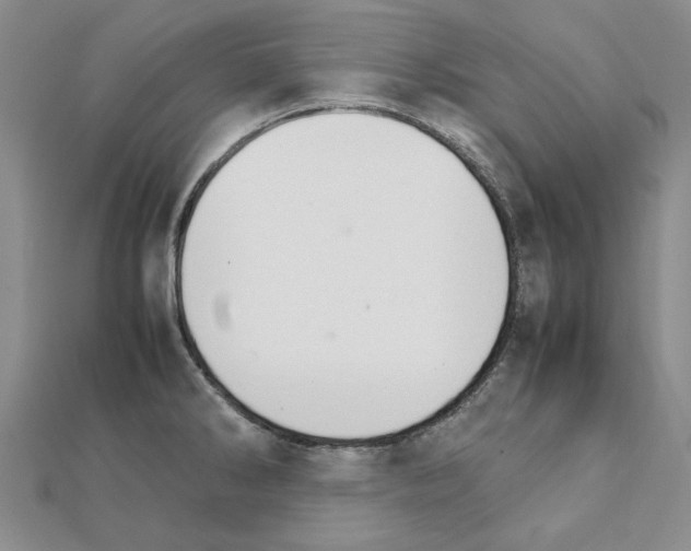 X0000111231286200908131115