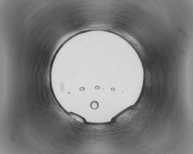 X0000111231288200908131115