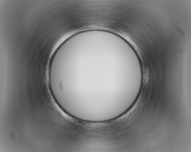 X0000111231294200908131115