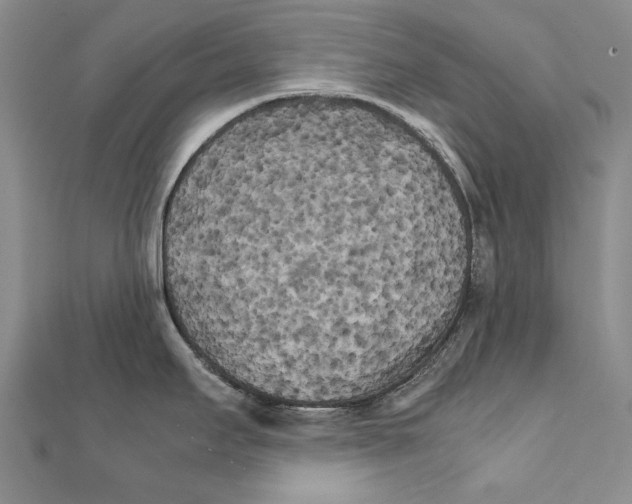 X0000111231295200908131115