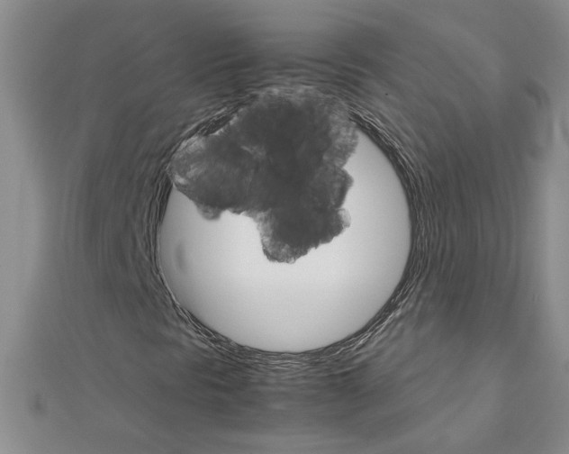 X0000111231297200908131114