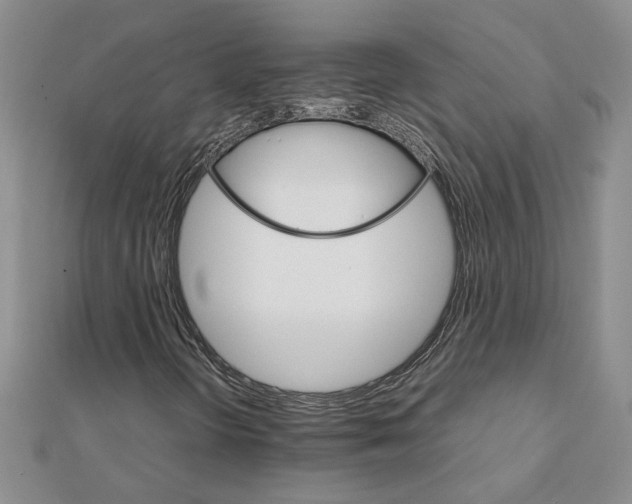 X0000111231298200908131114