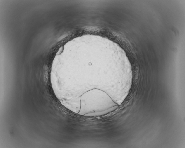 X0000111231301200908131114