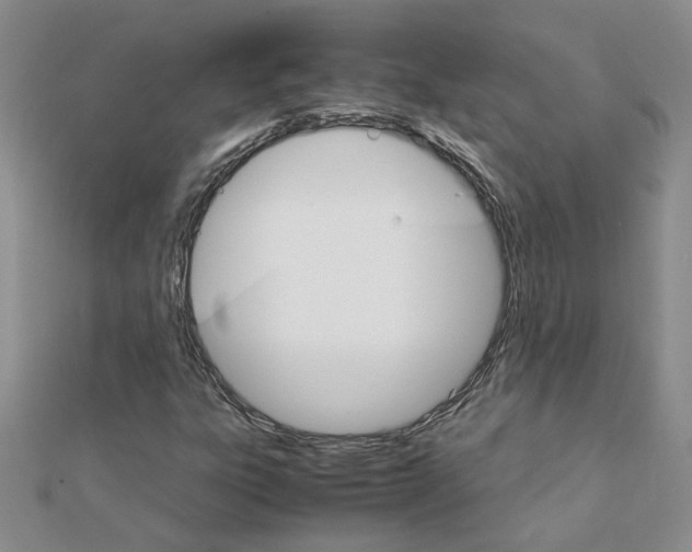 X0000111231303200908131114