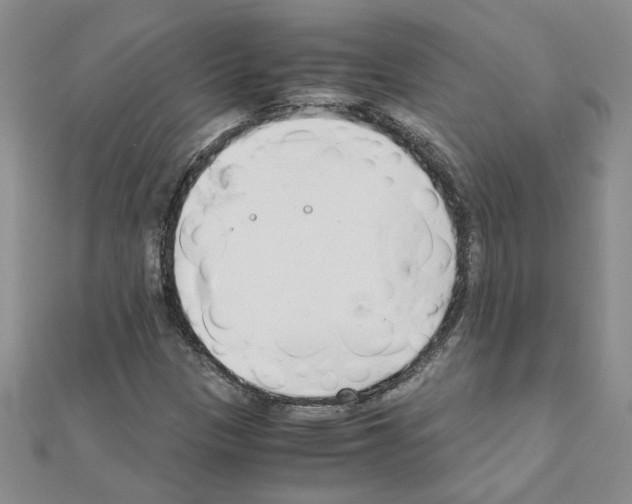 X0000111231305200908131114