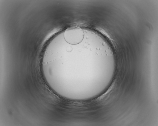 X0000111231309200908131114