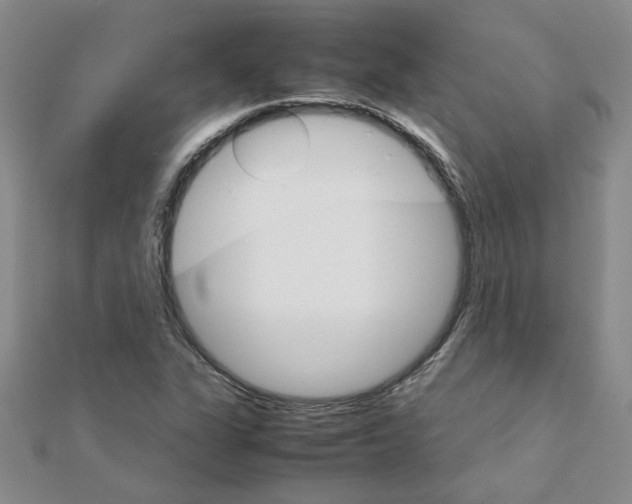 X0000111231311200908131114