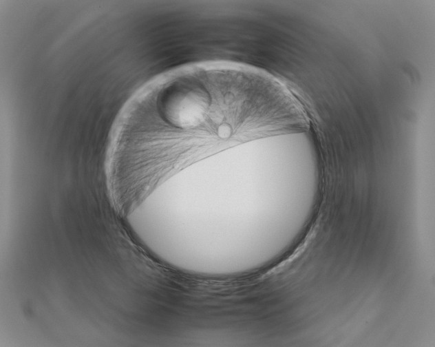 X0000111231313200908131114