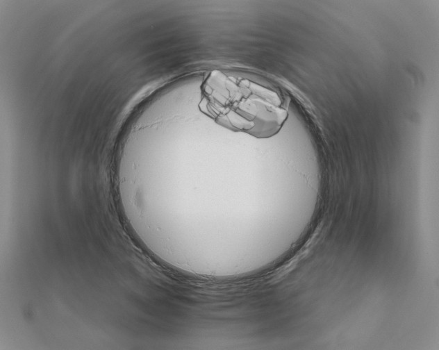 X0000111231314200908131114
