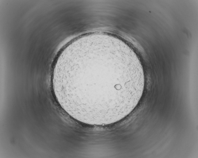 X0000111231316200908131115