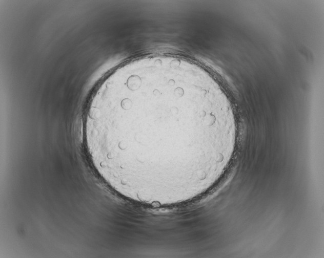 X0000111231317200908131115