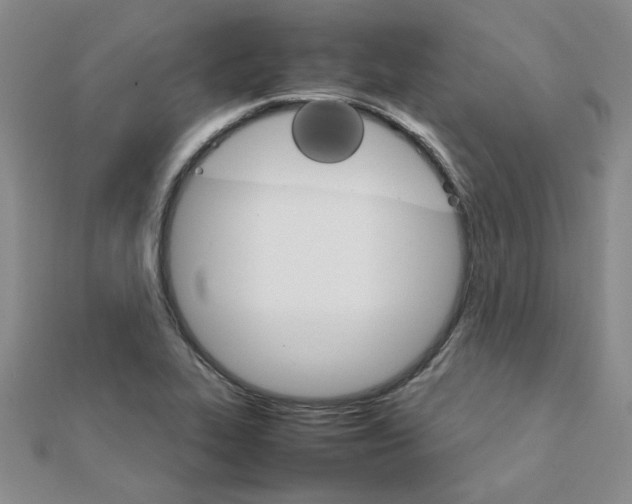 X0000111231319200908131115