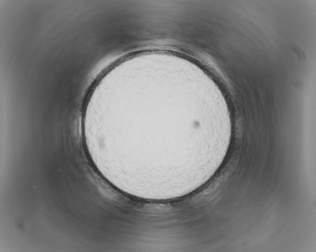 X0000111231320200908131115