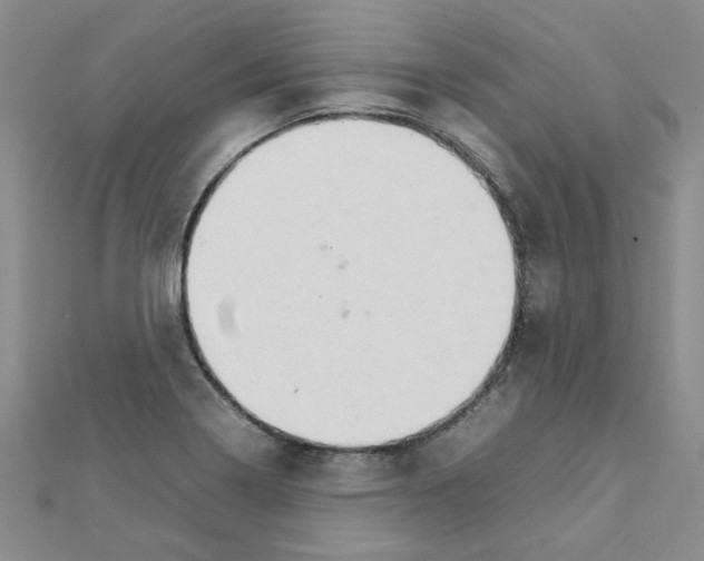 X0000111231322200908131115
