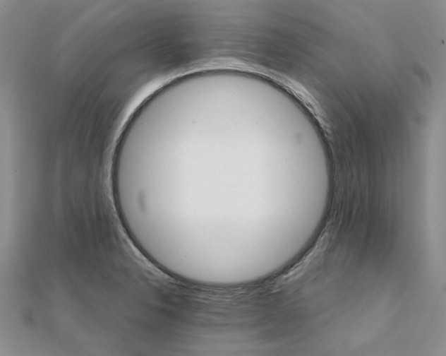 X0000111231326200908131115