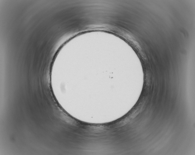 X0000111231328200908131115