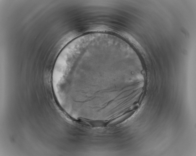X0000111231329200908131115