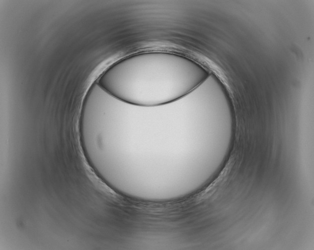 X0000111231330200908131115