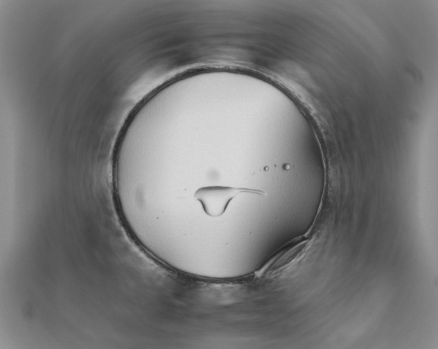 X0000111231335200908131115