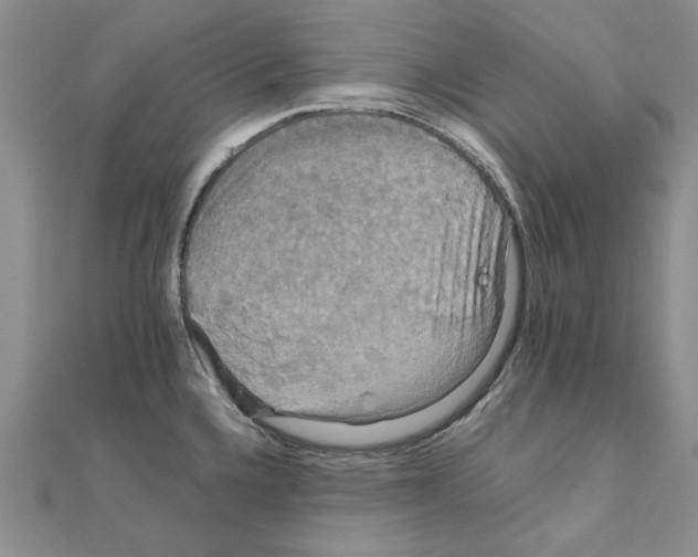 X0000111231336200908131115