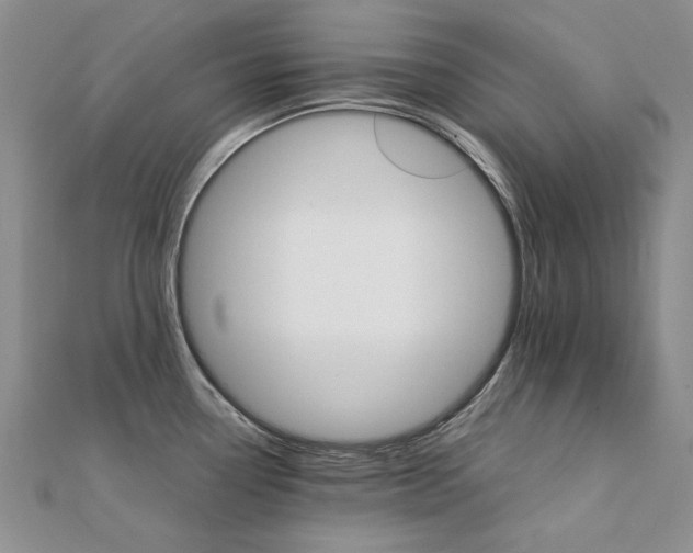 X0000111231338200908131115