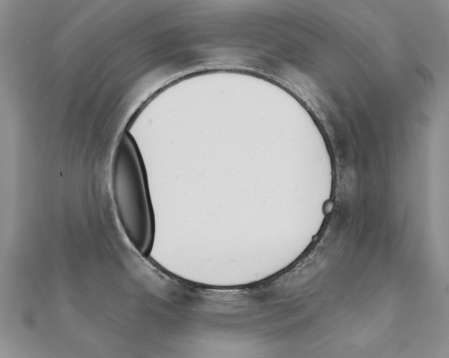X0000111231342200908131115