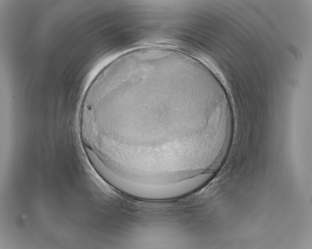X0000111231344200908131115
