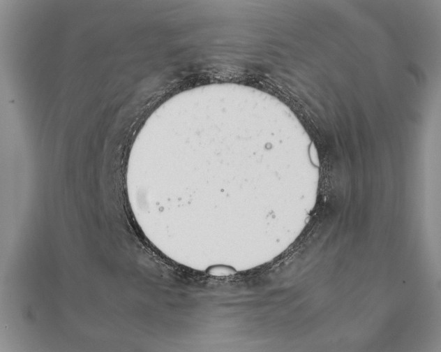 X0000111231345200908131114