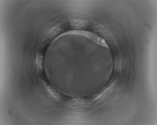 X0000111231346200908131114