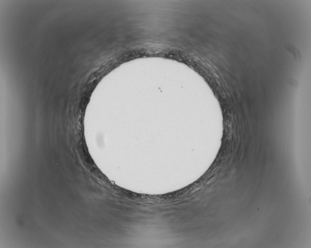 X0000111231349200908131114