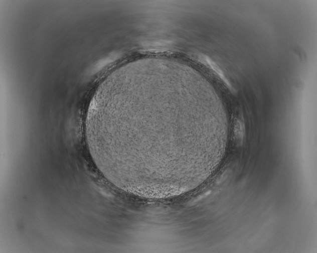 X0000111231350200908131114