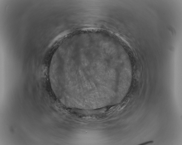 X0000111231351200908131114