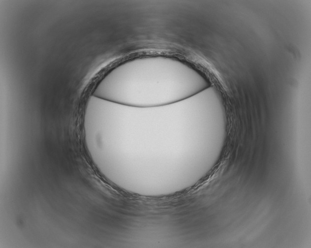 X0000111231352200908131114