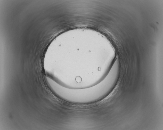 X0000111231353200908131114