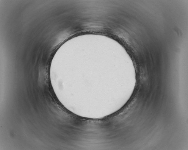 X0000111231354200908131114