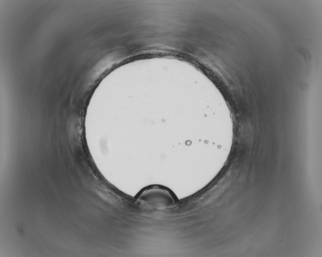 X0000111231355200908131114