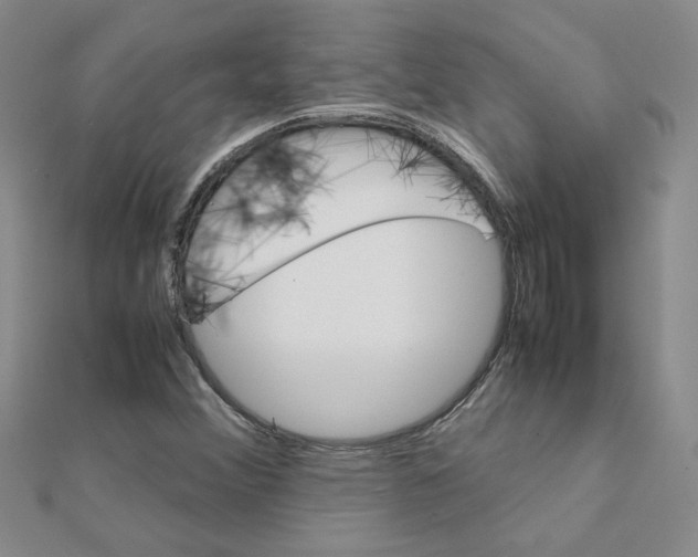 X0000111231356200908131114