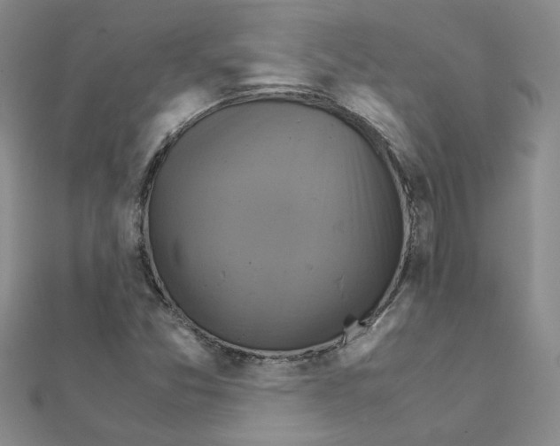 X0000111231357200908131114