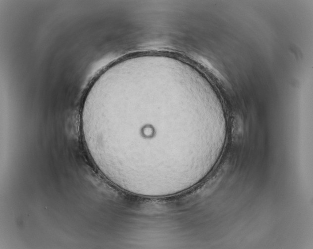 X0000111231358200908131114
