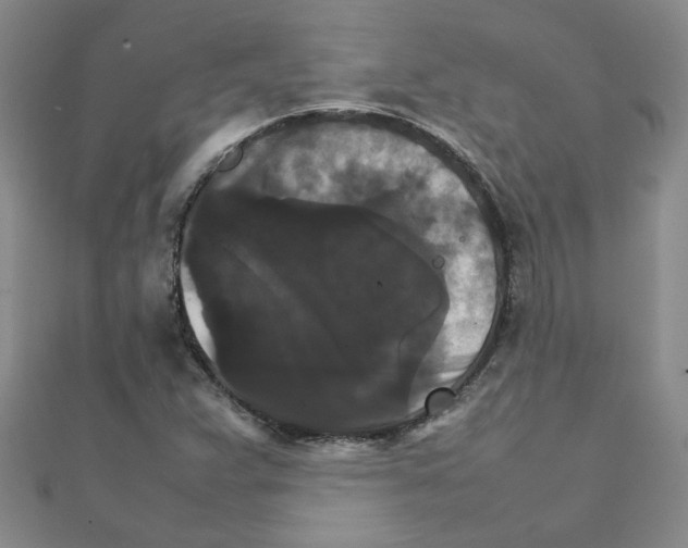 X0000111231359200908131114