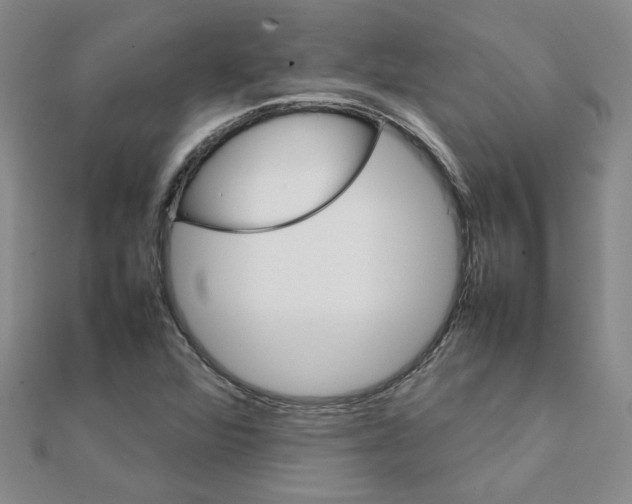 X0000111231360200908131114