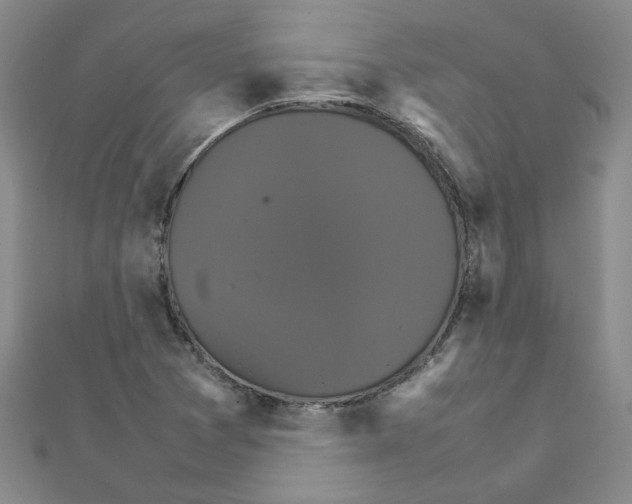 X0000111231361200908131114