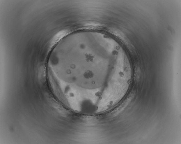 X0000111231362200908131114