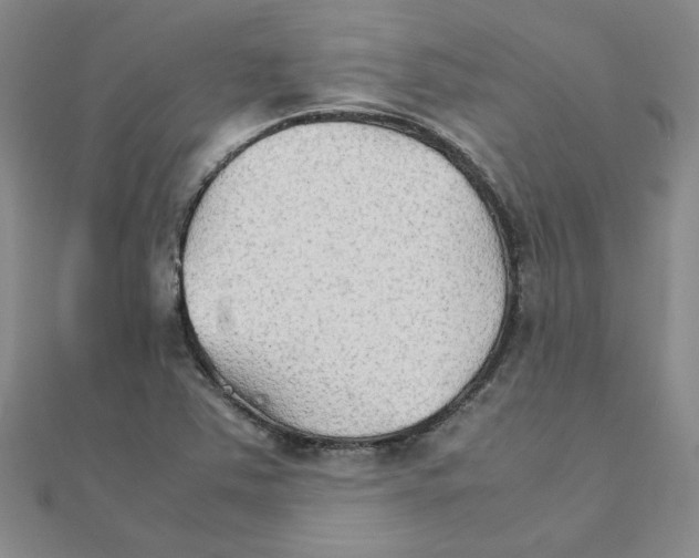 X0000111231363200908131114