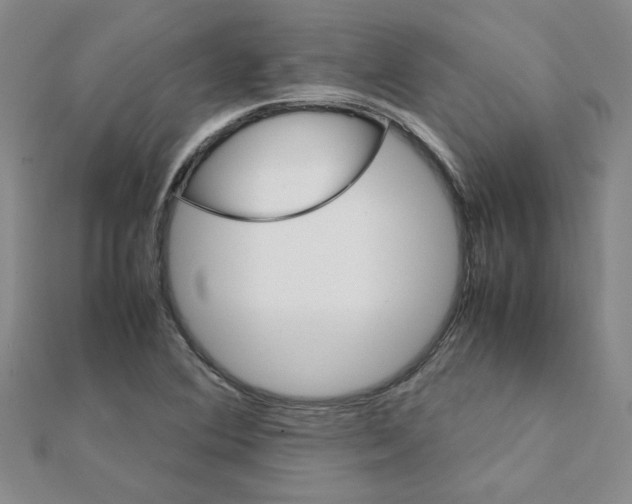 X0000111231364200908131114