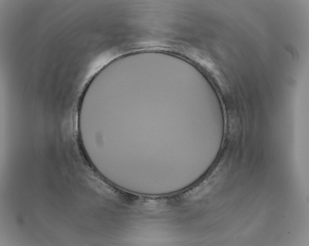 X0000111231365200908131114